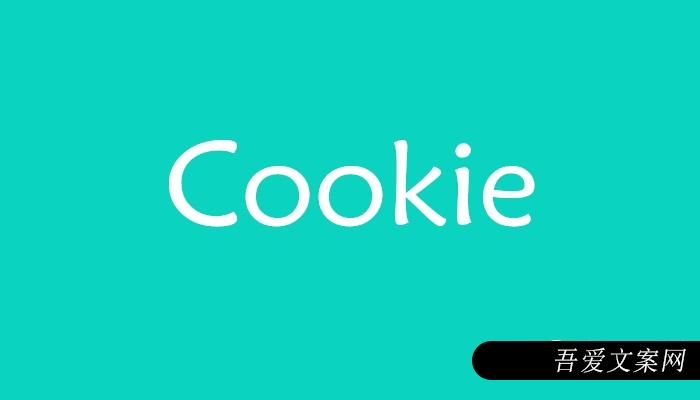 Cookie是什么意思？