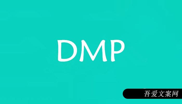 DMP是什么意思？