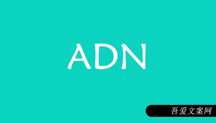 Ad Network是什么意思？