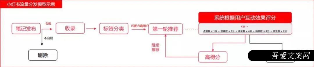 小红书、视频号、抖音流量算法机制，建议收藏！