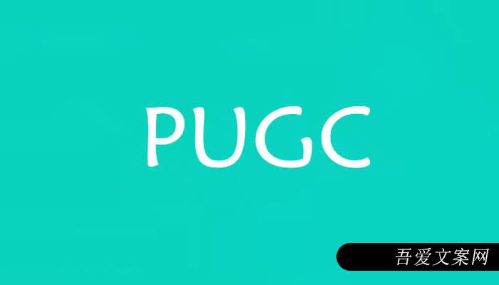 PUGC是什么意思？