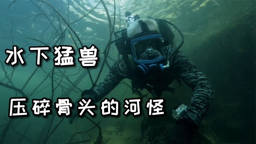 河中巨怪：能将人骨头挤碎的水下巨型猛兽！让杰叔都惧怕三分！