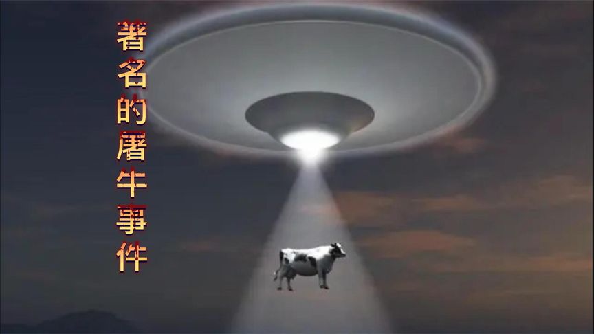 蓬莱岛的神仙屠牛方式，竹绳将牛吊上祭台窒息，再全村分肉煮火锅