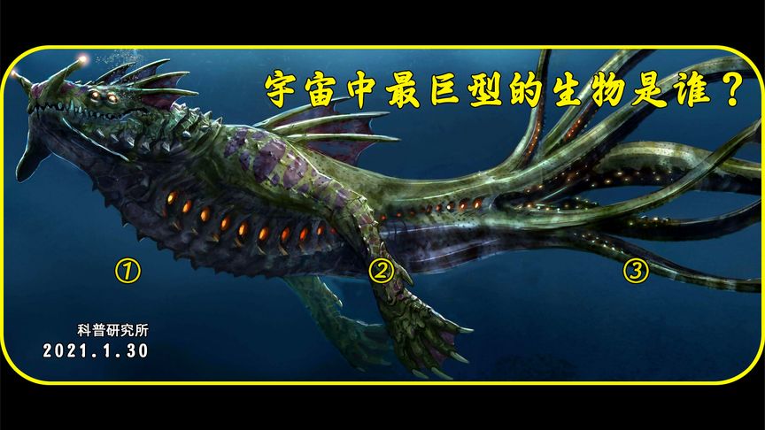 宇宙中最大的生物是谁？带你去看看