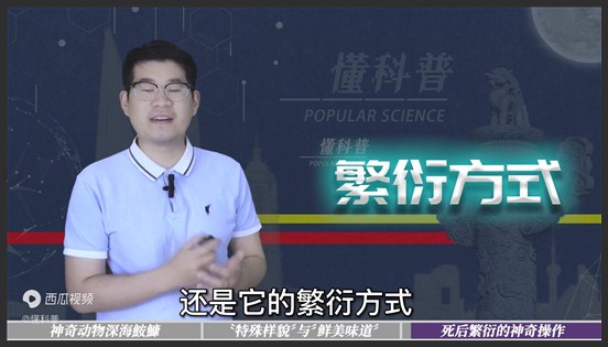 死后还能繁衍？雄cK为了后代拼尽全力，不惜消耗生命变成器官