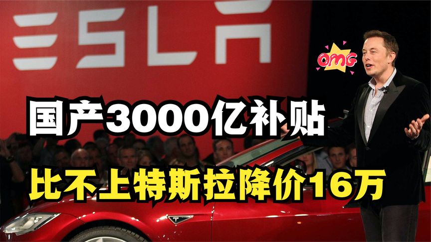 3000亿补贴比不上特斯拉降价16万，国产新能源汽车还有未来吗？