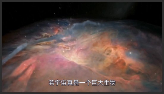 宇宙是不是一个巨大的生物体？太阳系是细胞，地球是原子！