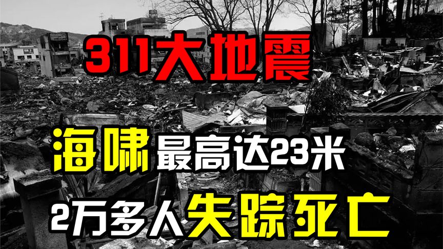 日本311海啸真实影像，海啸最高达23米，20000多日本人失踪死亡！