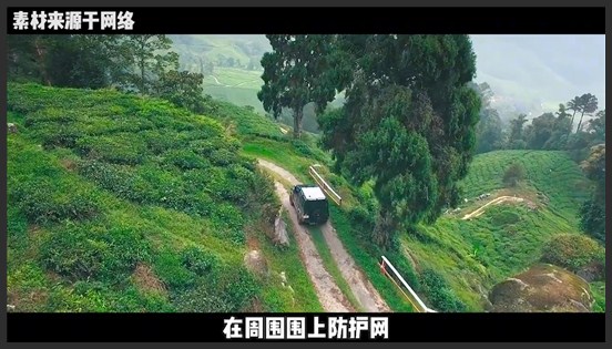 中国唯一合法种植基地：上千亩地全是违禁物，武警24小时持枪守卫