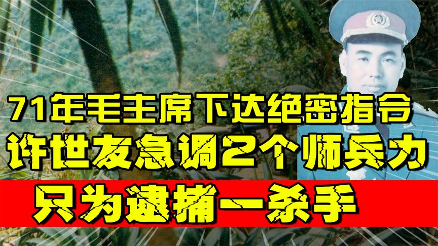 1971年，许世友收到毛主席的密令，紧急出动两个师，将王维国逮捕