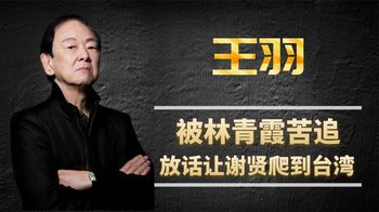 王羽：圈内真正的社团大哥，谢贤招惹不起，”三大血案“与他有关