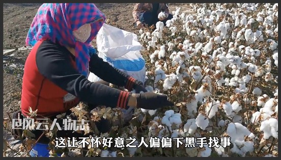 “反华妖女”许秀中：抹黑祖国砸三大罪行，连亲爹妈都不放过诋毁