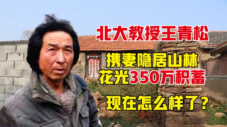 北大教授王青松携妻隐居山林，花光350万积蓄，如今怎么样了？