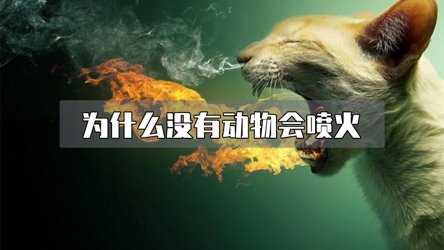 为什么没有会喷火的动物？——这种“绝技”是生物生存的阻碍！