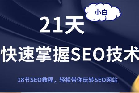 seo快速排名实战讲解视频课程