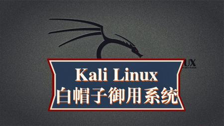 Kali安全渗透+Web白帽子高...工程师+黑客攻防