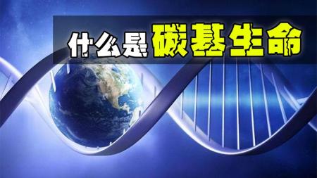 地球上为何都是碳基生物？碳基生物和其他生物究竟有什么不同？