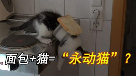 永动机=黄油猫悖论，有趣的黄油猫悖论，你知道吗？