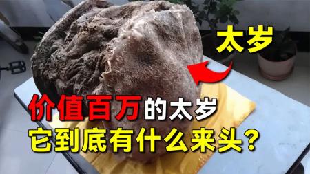 农民山上捡到140斤太岁，价值百万！传闻中的太岁到底什么来头？