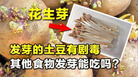 发芽的土豆有剧毒不能吃，那其他食物发芽能吃吗？很多人都不知道