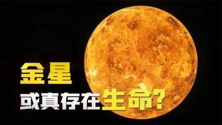 金星不止建筑遗迹？科学家发现最新证据，或能证实金星生命存在！