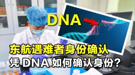 东航遇难者DNA对比完成，132人身份确认！仅凭遗骸如何确认身份？