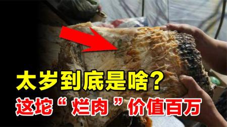 太岁到底是什么？看上去像一坨烂肉，真实价值却超百万？