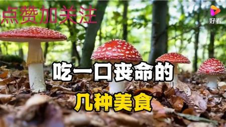 处理不当就可能丧命？9大美味但致命的美食，你吃过几个？