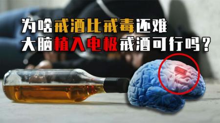 为什么说戒酒比戒毒还难？酒精如何改变你的大脑？看完直冒冷汗！