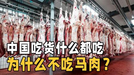 全球每年屠宰470万匹马，为啥中国人不爱吃马肉？难道是不好吃？