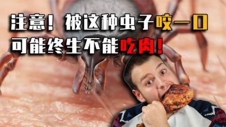 被咬一口终生不能吃肉？新型蜱虫有多恐怖？教你3招轻松预防！