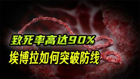 致死率90%！臭名昭著的“埃博拉病毒”，究竟有多恐怖？