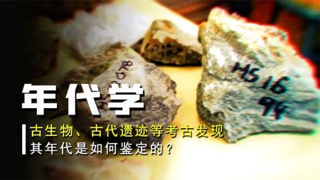 2000万年前的化石树，1亿年前的萤火虫，它们年份是如何鉴定的？