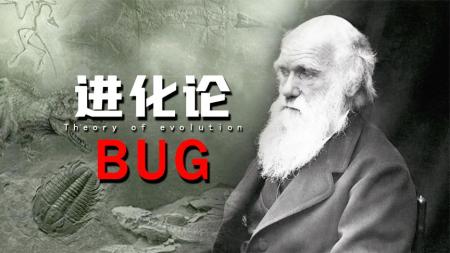 猴子进入新石器时代？研究表明：进化论存在BUG，随机也能被干预