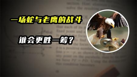 大连蛇岛有2万条毒蛇，把100只老鹰放岛上，能把全部毒蛇吃完吗？