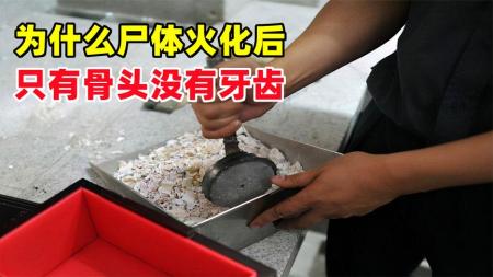 为何遗体火化后，只有骨头却没有牙齿？难道牙齿已经被烧成灰了？