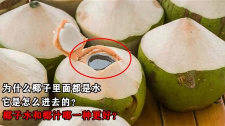 为何椰子里面都是水，它是怎么进去的？椰子水和椰汁哪一种更好？