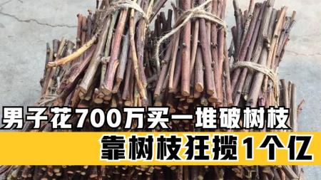 男子花700万买一堆破树枝，父母下跪无法阻止，谁知最后赚了1个亿