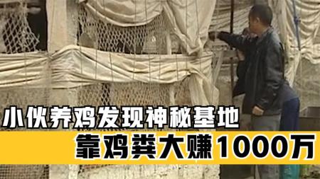 小伙养鸡却不卖鸡，在神秘基地发现商机，靠鸡粪一年净赚1000万