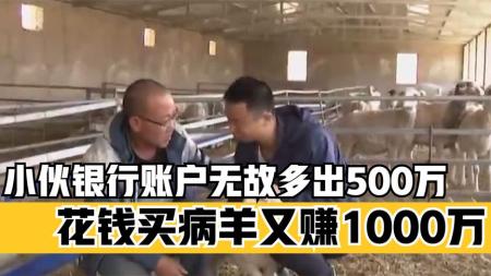 小伙银行账户无故多出500万，拿钱被骗买病羊，却靠病羊赚1000万