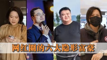 盘点网红圈的六大隐形富豪，倪海杉养龙成瘾，孙越坐拥北京一栋楼