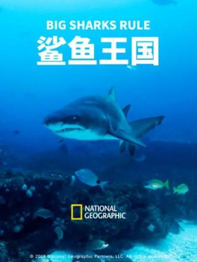 鲨鱼王国.Big.Sharks.Rule.1080P.简繁英 (2018)